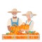 Elderly man and woman in work clothes and sunhat harvest pumpkins