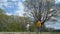 Elderly man in yellow hoodie carries bag walking near girl