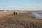 An elderly married couple strolls serene on the beach on the sunset with their pet faithful dog