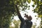 An elderly naturalist is studying the flora in the forest, taking pictures. Active pastime in retirement