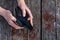 An elderly person has a financial crisis, holds an empty wallet in his hand