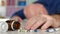 Elderly Person Having a Stroke Trying to Take Medical Pills for Emergency from the Floor