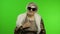 Elderly stylish grandmother. Caucasian woman posing on chroma key background