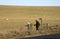 Elderly walkers walk in the English countryside