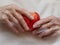 Elderly White Woman`s Hands Holding an Organic Red Apple