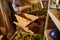 Elderly winemaker loading white grapes into a crusher