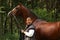 Elderly woman and brown horse portrait in the forest