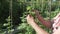 An elderly woman cares for plants in garden, ties up high branches of cucumbers stock footage video