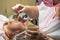 An elderly woman carries out a cosmetic procedure for the face.