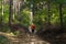 An elderly woman with a crutch in the forest