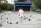 An elderly woman with a crutch in a park walks and feeds pigeons