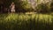 Elderly woman farmer mows the grass at sunset