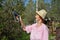 An elderly woman gardener electric trimmer cuts a Jasmine Bush i