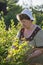 Elderly woman gathering raspberries in the garden