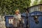 Elderly woman hoarder in a straw hat and checkered suit rummaging in a dumpster