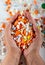 An elderly woman holds a lots of colored pills in hands on a white background.