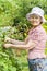 Elderly woman pick up black currant