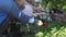 Elderly woman relax with gardening in backyard