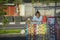 Elderly woman selling beverage on the roadside