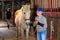 Elderly woman stable owner stroking white purebred horse