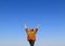 An elderly woman in sunglasses against a blue sky with her hands raised in the air-the concept of pleasant spring walks in nature