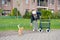 Elderly woman with walker and cat