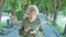 Elderly woman walking park lane using smartphone. Senior female walking in the park
