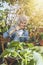 Elderly woman waters pot with kalanchoe plant on terrace full of plants