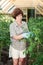 Elderly woman weeds tomato beds in a greenhouse