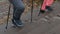 Elderly women doing Nordic walking in autumn park outdoor