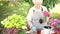 Elderly women in protect gloves planting flowers.