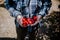 Eldery farmer holding a bunch of Rocoto chili pepper