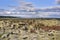 Eldhraun Scenic Lava Walk - moss covered lava field against blue sky, Vik, Sudurland, Iceland