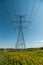 Elecrical Pylon