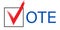 Election vote tick. Isolated presidential campaign symbol. Red check mark icon in box. Voting national day. Political debates