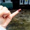 Elections Day on 2024 at Republic of Indonesia