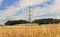 Electiricty Pylons in an English Landscape