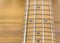 Electric bass fretboard