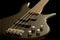 Electric bass guitar