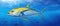 Electric blue yellowfin tuna gliding through fluid water
