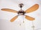 Electric ceiling lamp with propeller