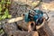 Electric chain saw on a pile of sawn tree trunks in the garden