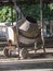 Electric concrete mixer in the yard