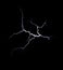 Electric discharge on a black background - 3. Electric shock, lightning, tesla.