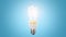 Electric energy saving light bulb