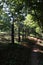 Electric fence on wooden columns separating animal reserve from surrounding oak tree forest, late afternoon sunshine.