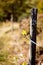 Electric fencing around a pasture for animals