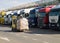 Electric forklift with cargo on the background of a long series of trucks standing on unloading at the warehouse