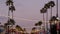 Electric garland, palm trees California USA. Beach sunset, coast twilight sky. Los Angeles lights.