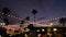 Electric garland, palm trees California USA. Beach sunset, coast twilight sky. Los Angeles lights.